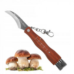 Nóż kandar scyzoryk kozik grzybiarza na grzyby składany z miotełką 25 cm