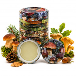 10x WIECZKO ZAKRĘTKI DO SŁOIKÓW FI 66 WIECZKA 6 ZACZEPÓW NAKRĘTKI GRZYBKI