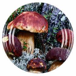 10x WIECZKO ZAKRĘTKI DO SŁOIKÓW FI 66 WIECZKA 6 ZACZEPÓW NAKRĘTKI GRZYBKI